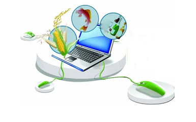 農業(yè)電商系統(tǒng)功能清單及技術咨詢解析