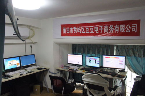 莆田秀嶼區(qū)豆豆電子商務(wù) 信息技術(shù)驅(qū)動(dòng)下的區(qū)域電商新勢(shì)力