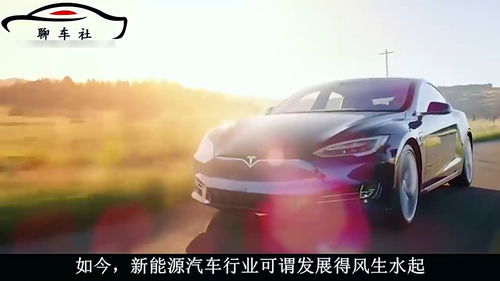 新能源汽車銷量直線下降,車主 買了也不敢開